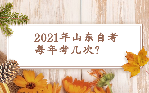 2021年山東自考每年考幾次?