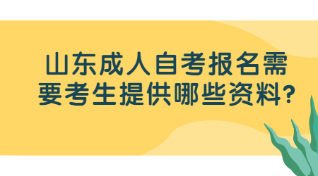 山東成人自考