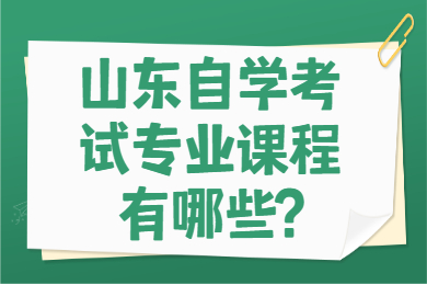 山東自學(xué)考試專業(yè)課程