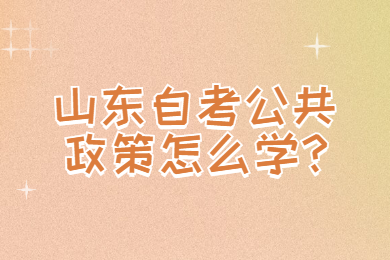 山東自考公共政策怎么學?