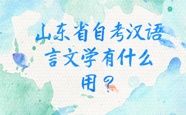 山東省自考漢語言文學(xué)有什么用?