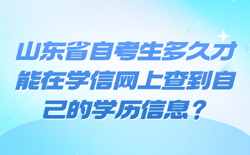 山東省自考生多久才能在學(xué)信網(wǎng)上查到自己的學(xué)歷信息?