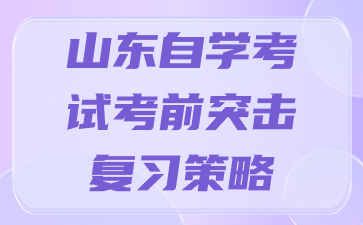 山東自學(xué)考試考前突擊復(fù)習(xí)策略