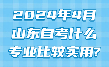 2024年4月山東自考什么專業(yè)比較實用?