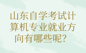 山東自學(xué)考試計(jì)算機(jī)專業(yè)就業(yè)方向有哪些呢?