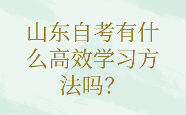 山東自考有什么高效學習方法嗎?