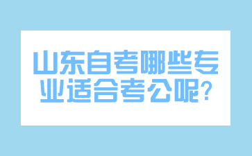 山東自考哪些專業(yè)適合考公呢?